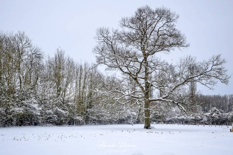 dsc_1534-standard.jpg