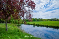 dsc_1538-standard.jpg
