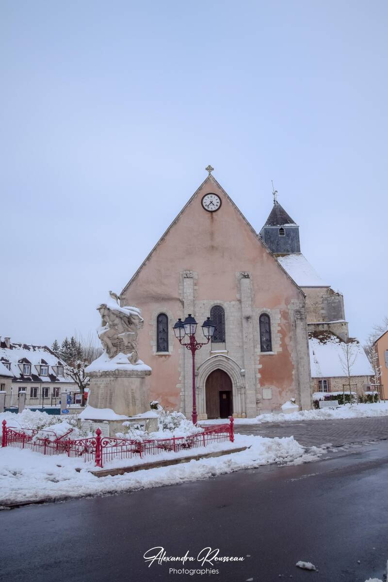 dsc_1559-standard-rf0pyh.jpg
