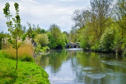dsc_1566-standard.jpg