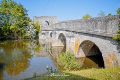 dsc_1601-standard.jpg