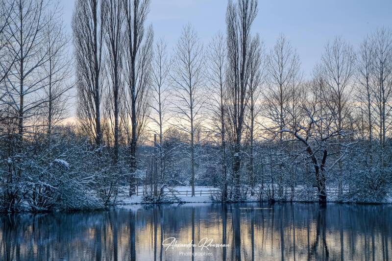 dsc_1615-standard.jpg