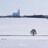 dsc_1743-standard.jpg