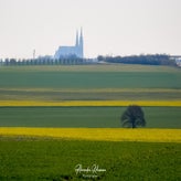 dsc_1819-standard.jpg