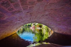 dsc_1882-standard.jpg
