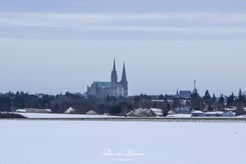 dsc_1976-standard.jpg