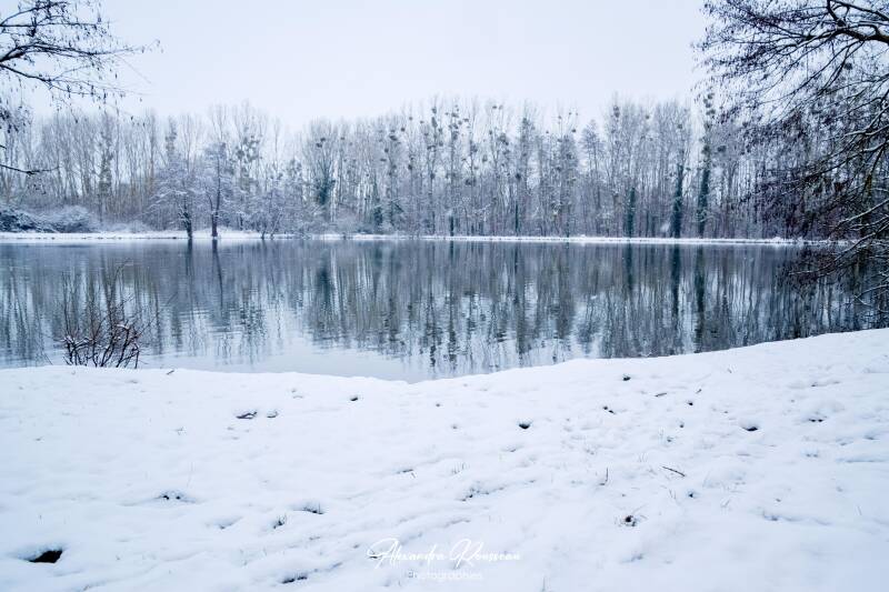 dsc_1988-standard.jpg