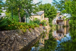 dsc_1994-standard.jpg