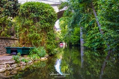 dsc_1997-standard.jpg