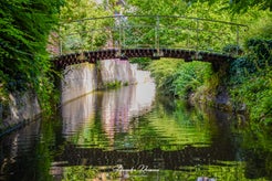 dsc_2006-standard.jpg