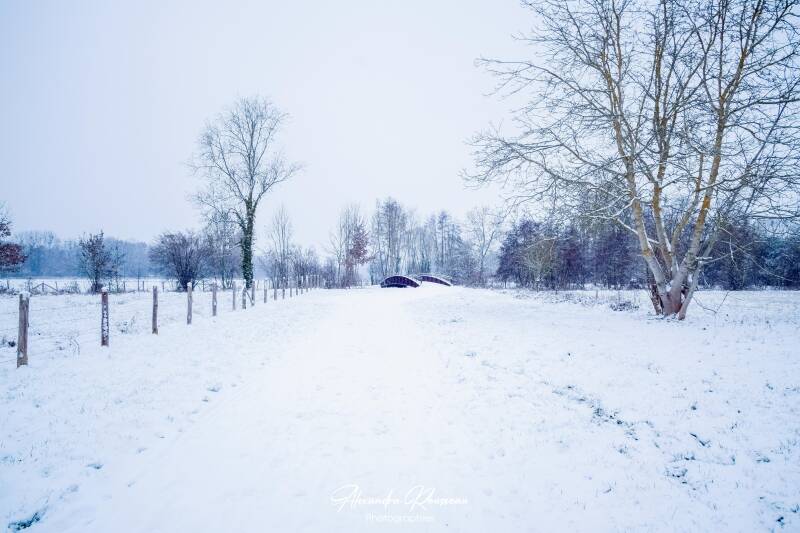 dsc_2049-standard.jpg