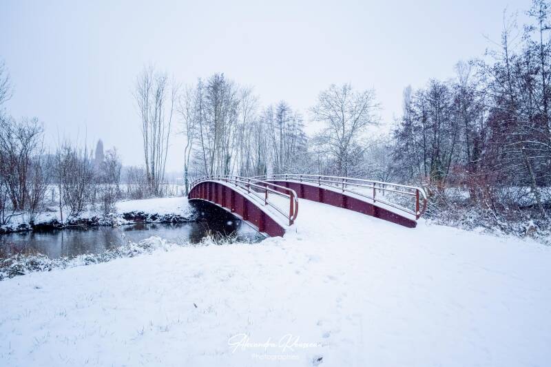 dsc_2053-standard.jpg