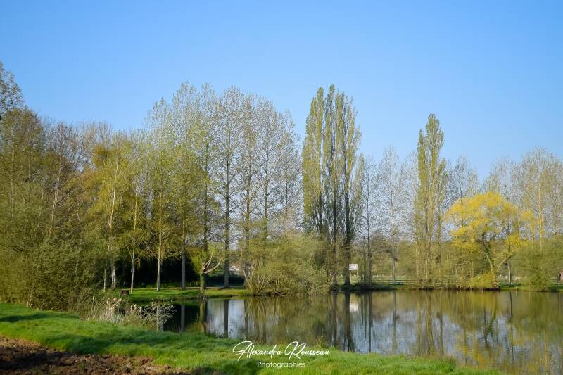 dsc_2089-standard.jpg