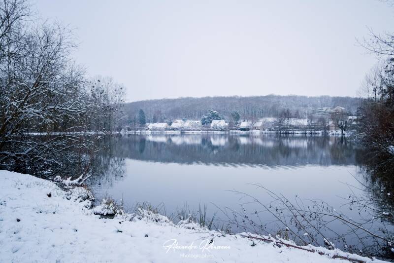dsc_2092-standard.jpg