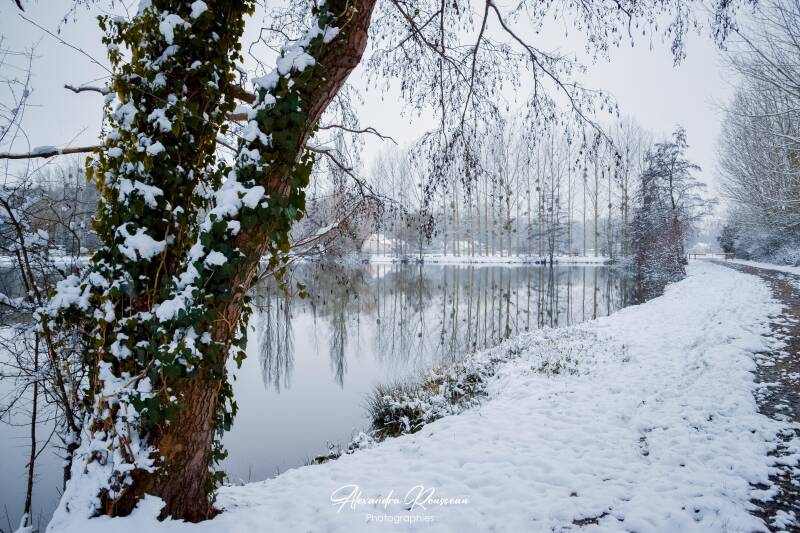 dsc_2105-standard.jpg