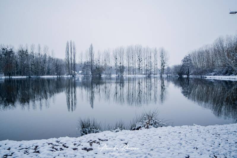 dsc_2108-standard.jpg