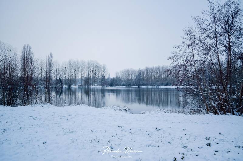 dsc_2127-standard.jpg