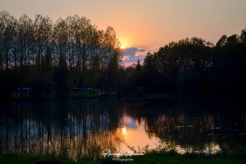 dsc_2236-standard.jpg