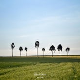 dsc_2668-standard.jpg