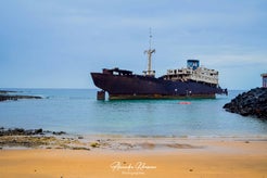 dsc_3069-standard-cvu081.jpg