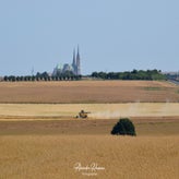 dsc_3157-standard.jpg