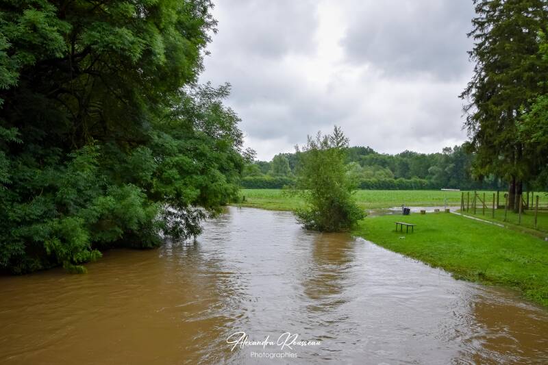 dsc_3177-standard.jpg