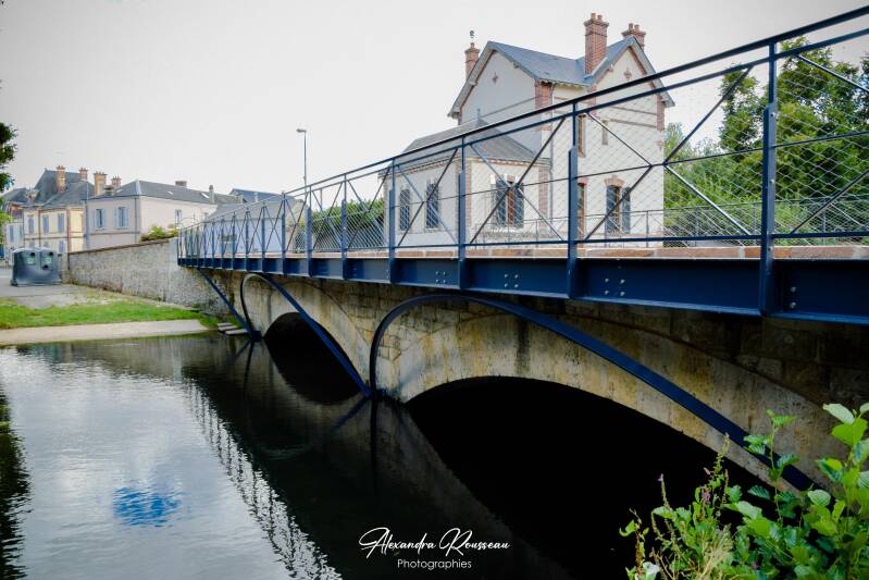 dsc_3217-standard.jpg