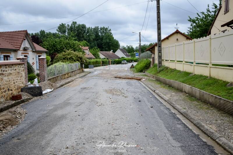 dsc_3247-standard.jpg