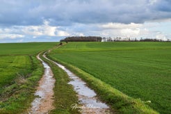 dsc_3257-standard.jpg