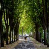 dsc_3496-standard.jpg