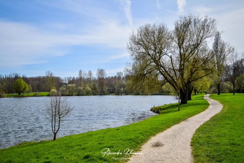 dsc_3964-standard.jpg