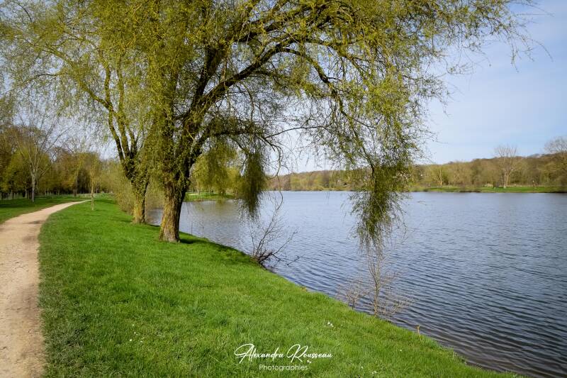 dsc_3984-standard.jpg