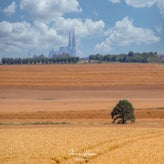 dsc_4184-standard.jpg