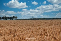 dsc_4217-standard.jpg