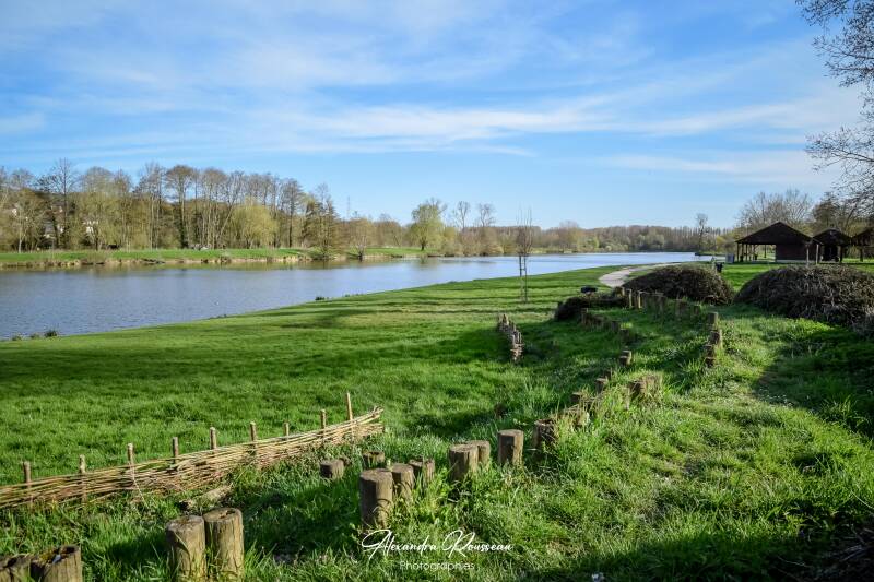 dsc_4259-standard.jpg