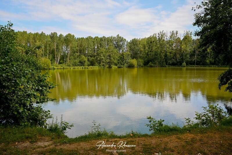 dsc_4365-standard.jpg