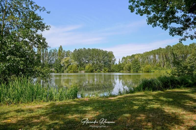dsc_4371-standard.jpg