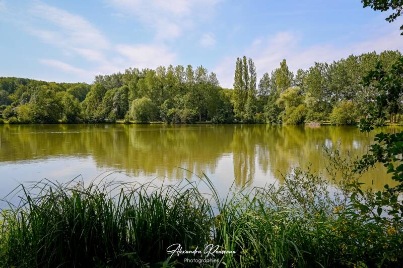 dsc_4378-standard.jpg