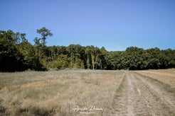 dsc_4426-standard.jpg