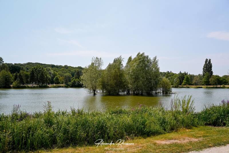 dsc_4525-standard.jpg
