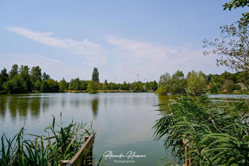 dsc_4529-standard.jpg