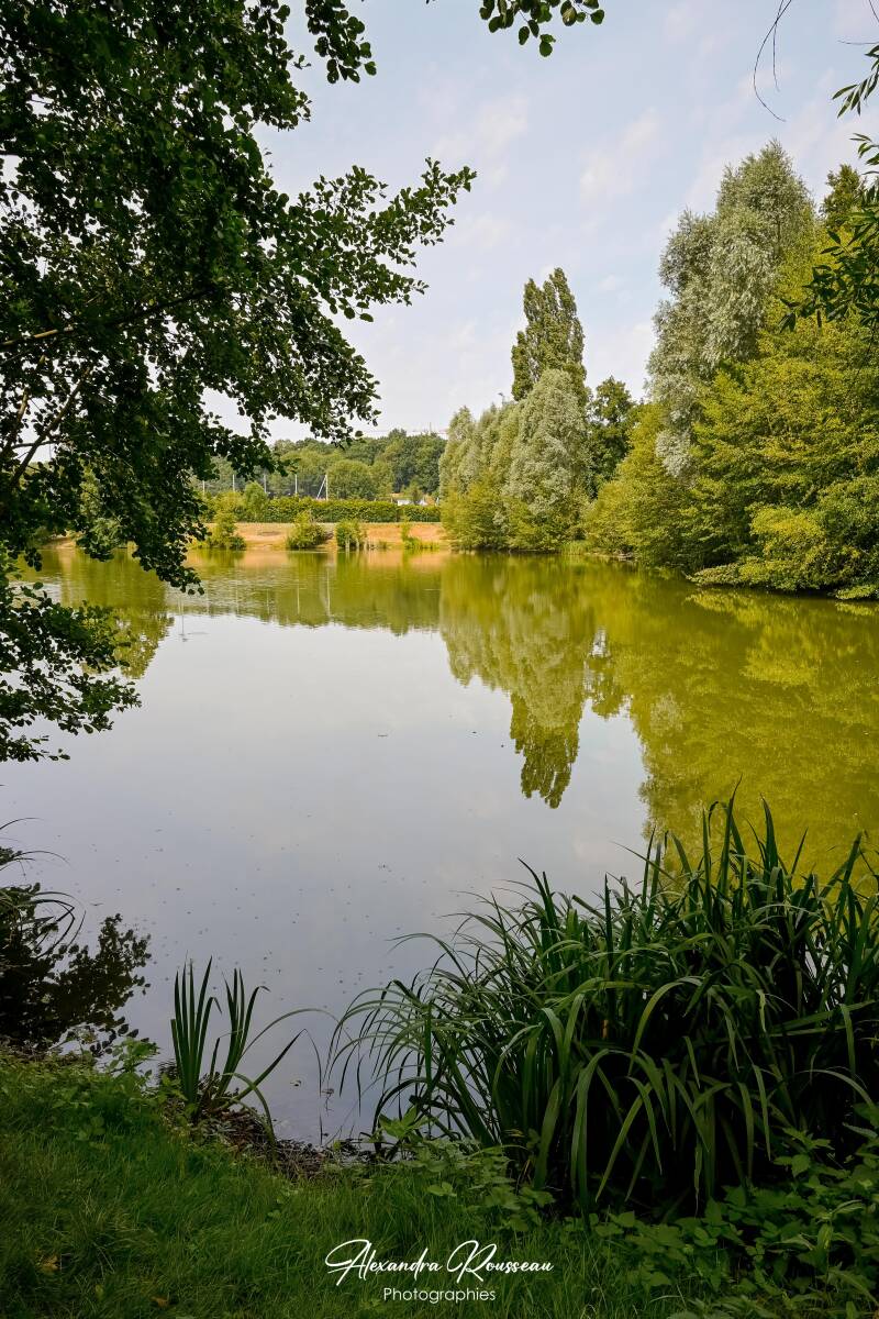 dsc_4632-standard.jpg