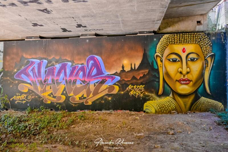 dsc_4663-standard.jpg