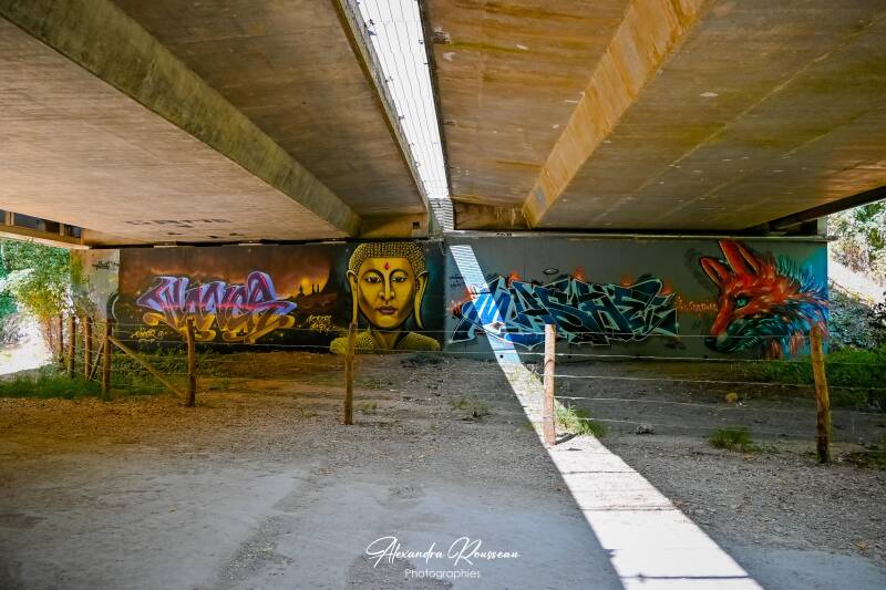 dsc_4671-standard.jpg