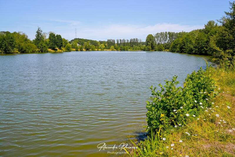 dsc_4711-standard.jpg