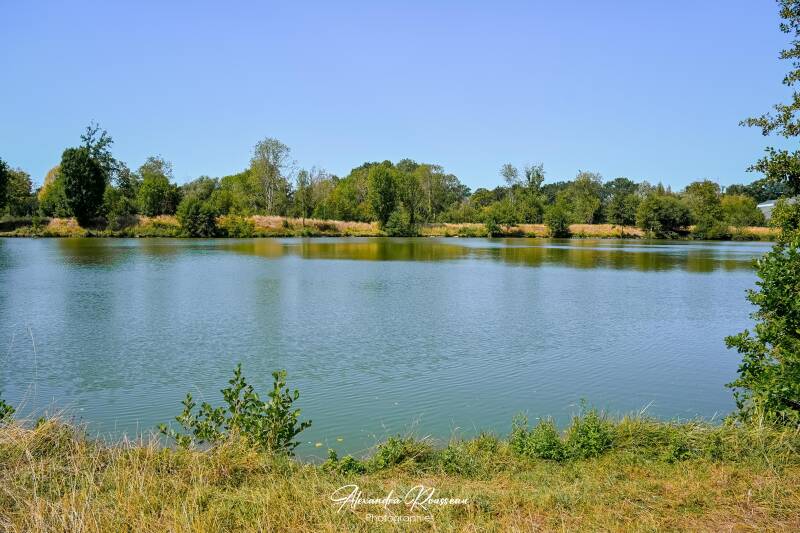 dsc_4717-standard.jpg