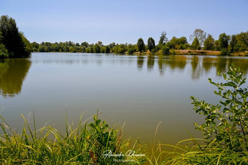 dsc_4725-standard.jpg