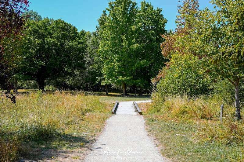 dsc_4745-standard.jpg
