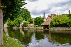 dsc_4782-standard.jpg