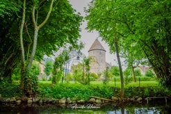 dsc_4807-standard.jpg